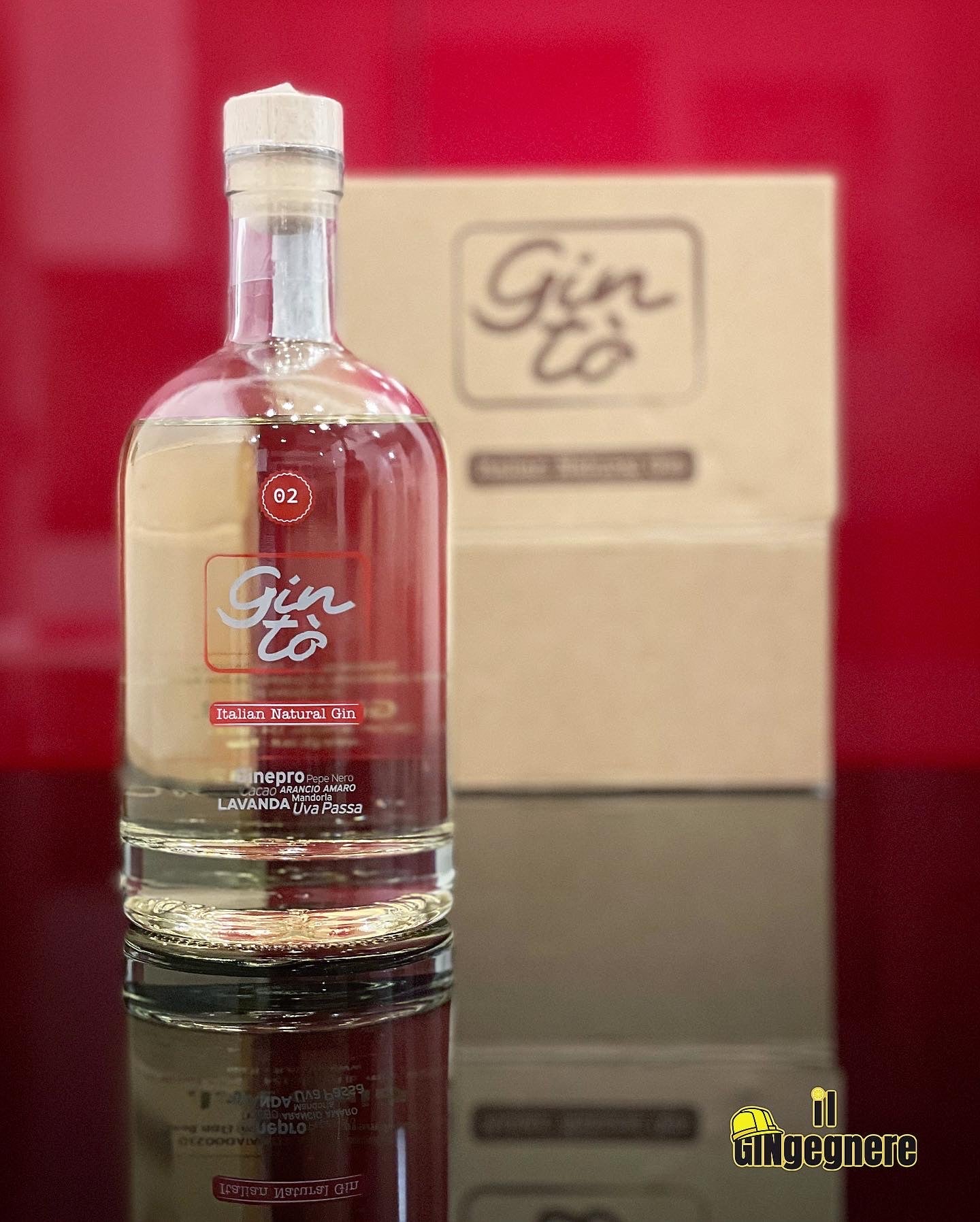 GINTÒNIC #2 con GinTò “Italian Natural Gin”