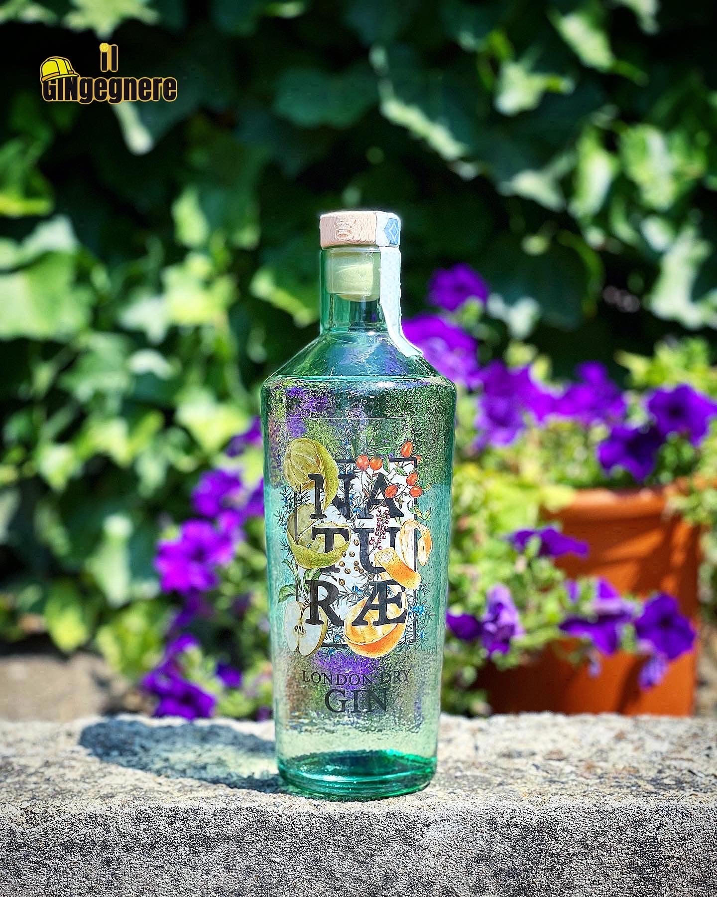 NATURAL G&T con Naturæ Gin Fructetum