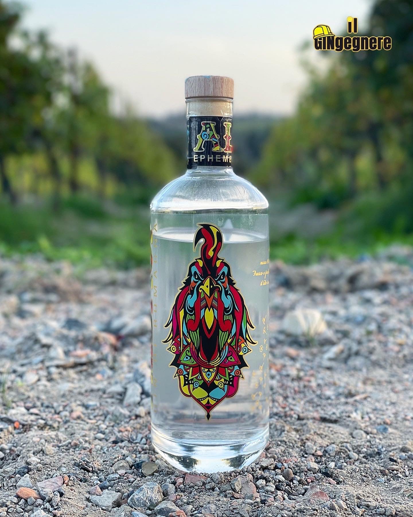 G&T di Romagna con Gin Alba 87