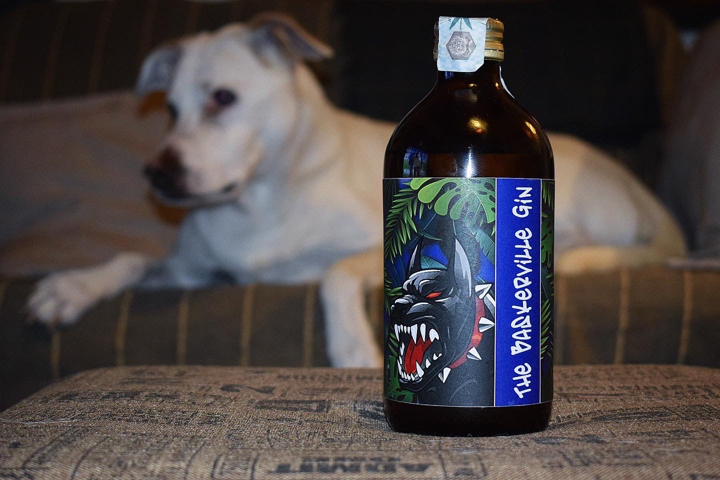 The Baskerville G&T Shhh, non svegliate il can che dorme