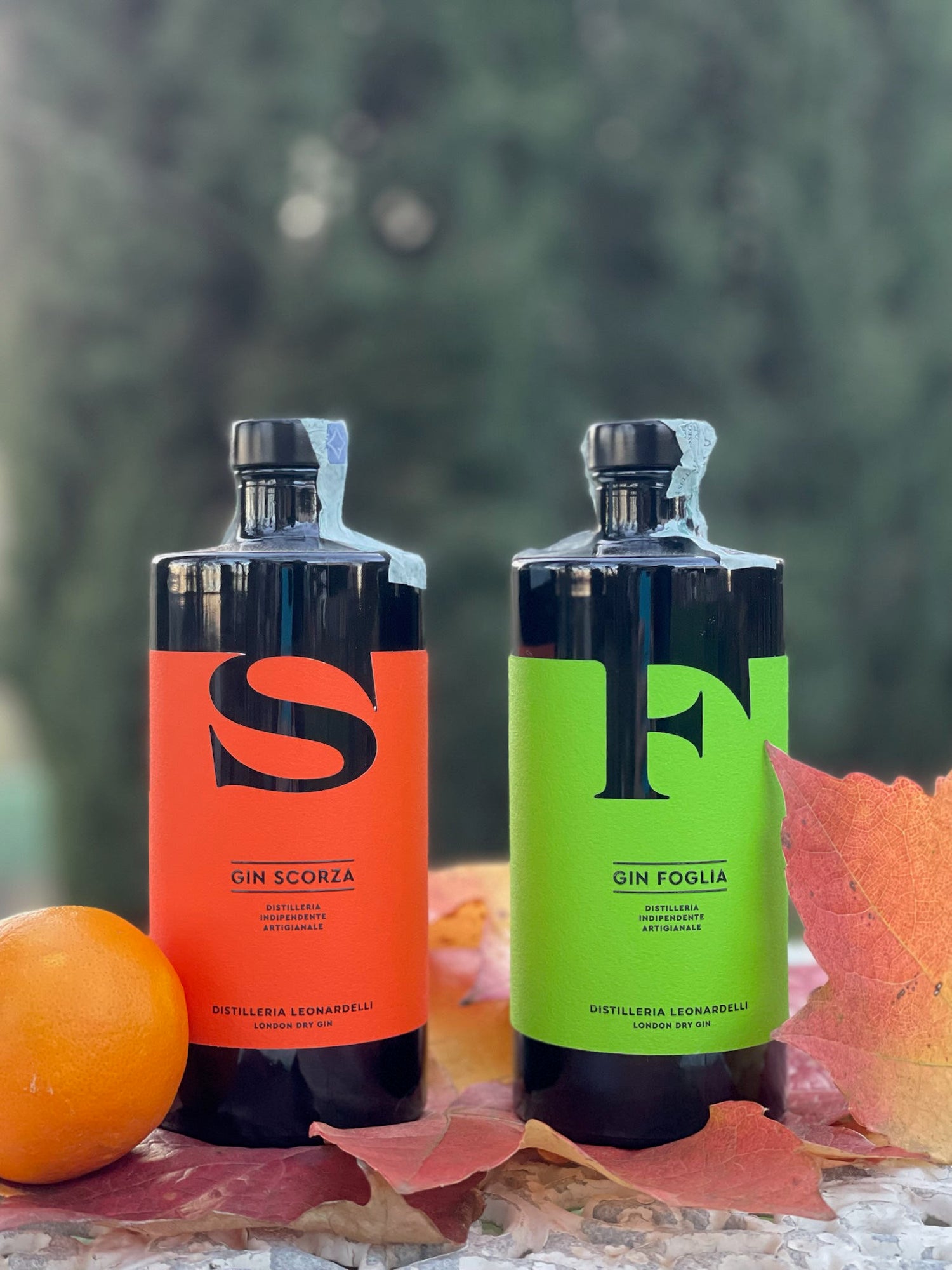 Due Gin Italo-Argentini con Distilleria Leonardelli