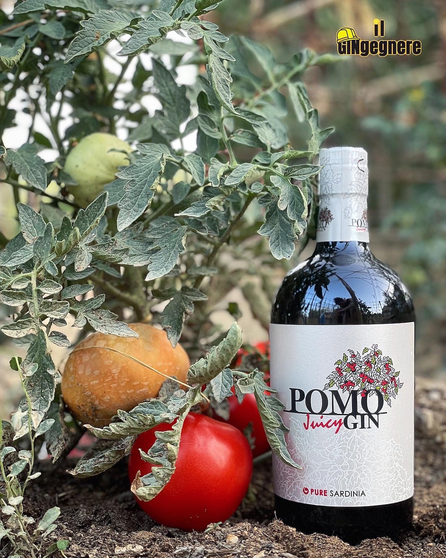 Pomo Juicy Gin by Pure Sardinia