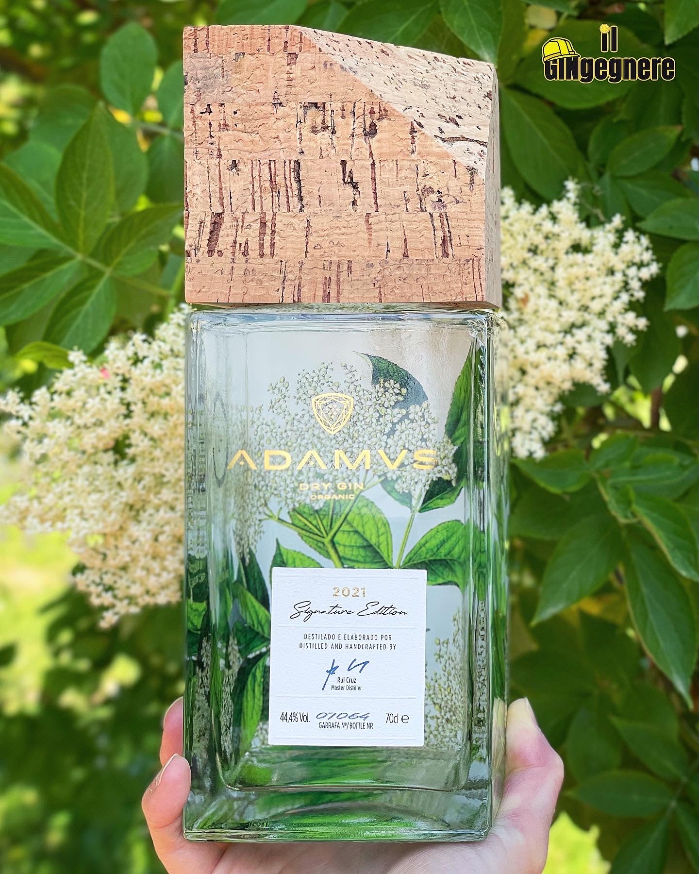 Un Gin ai Fiori di Sambuco con Gin Adamus “Signature Edition 2021”