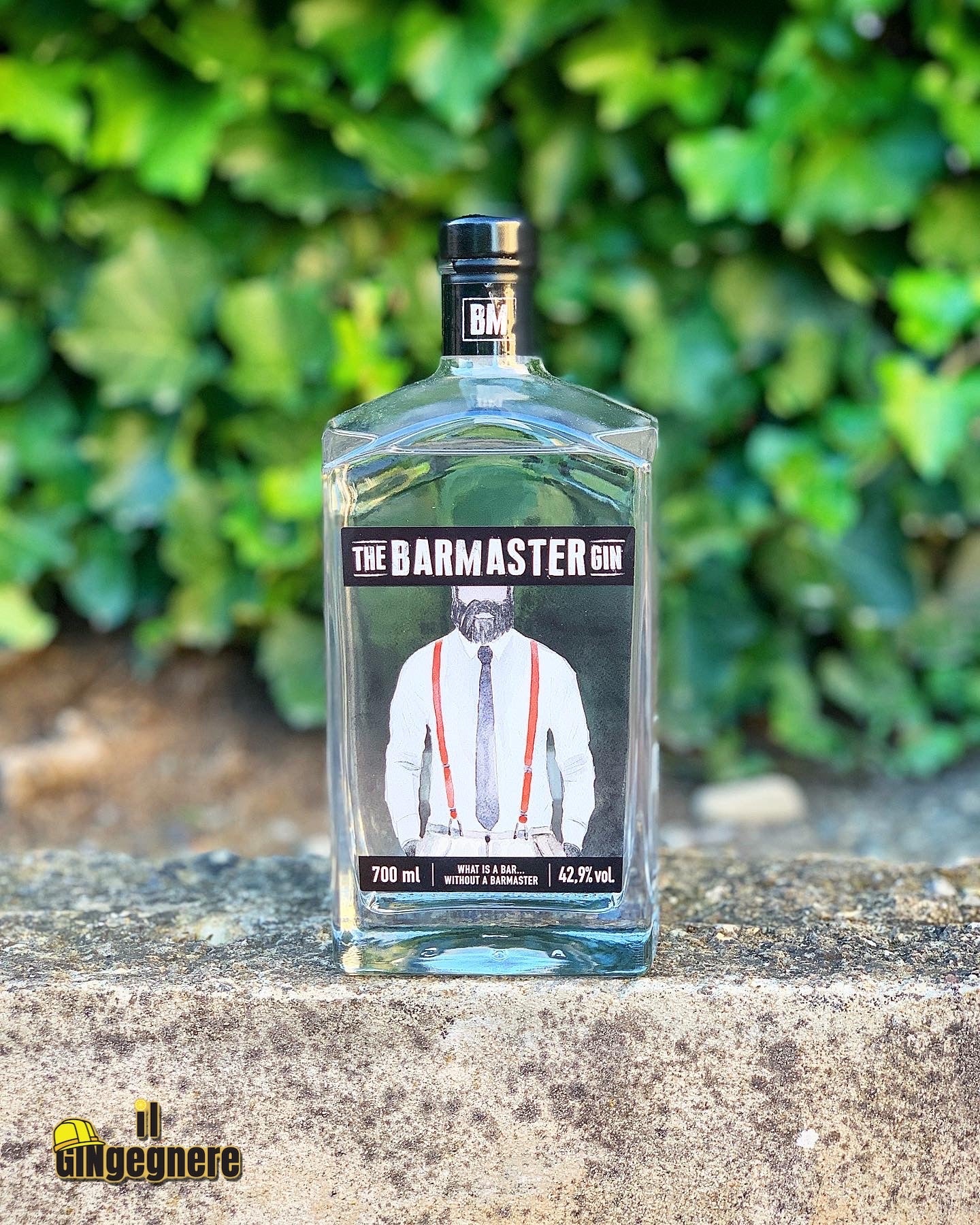 Barmaster G&T con THE BARMASTER GIN