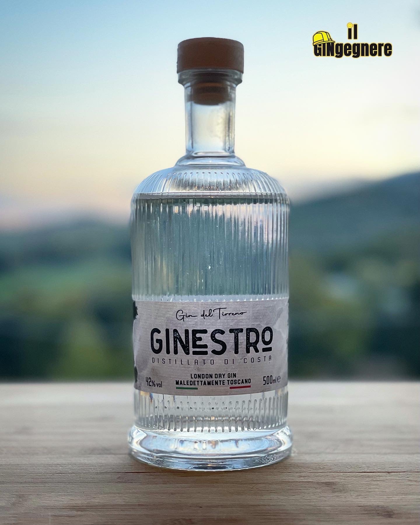 Il G&T del Tirreno con Gin Estro