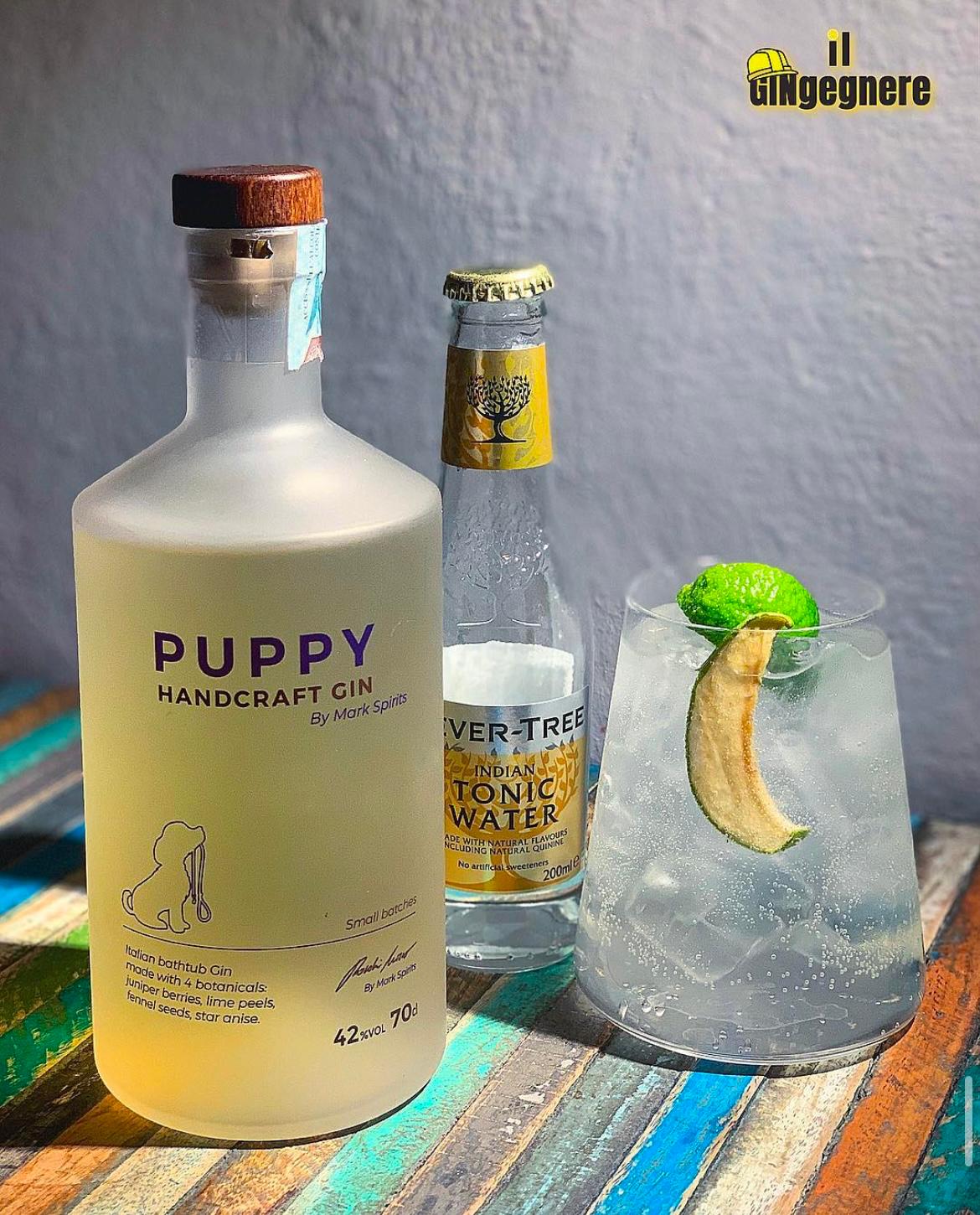 PUPPY G&T